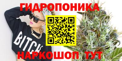 герыч Будённовск