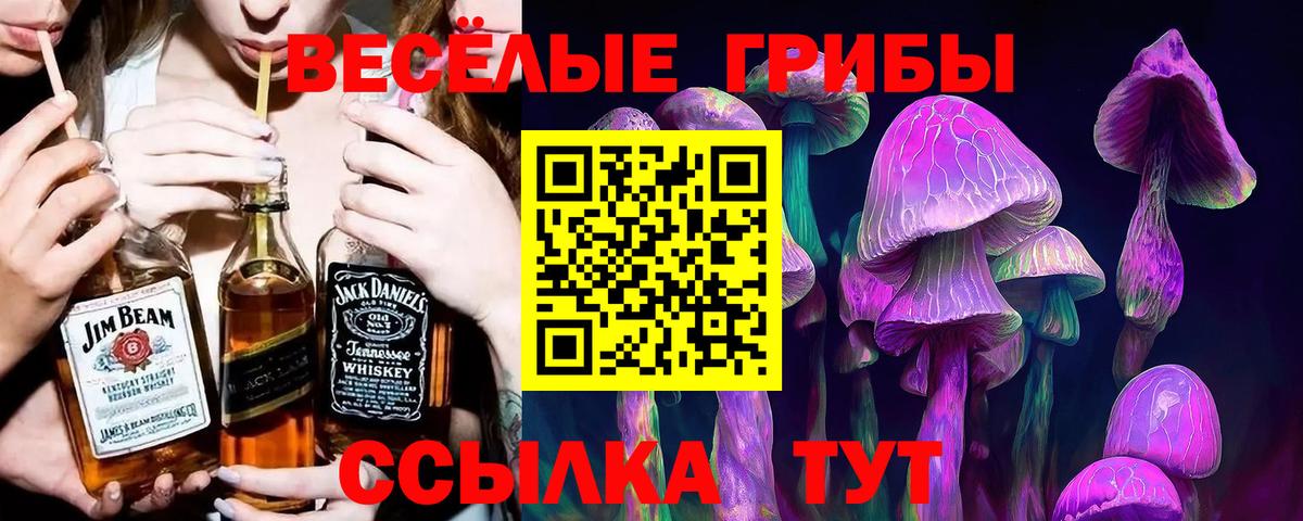 Галлюциногенные грибы Psilocybine cubensis  Псилоцибиновые грибы ЛСД  Мурино  Вход с VPN 